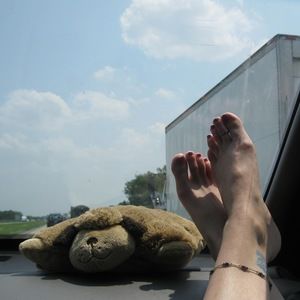 Meet your Posher, Dawn